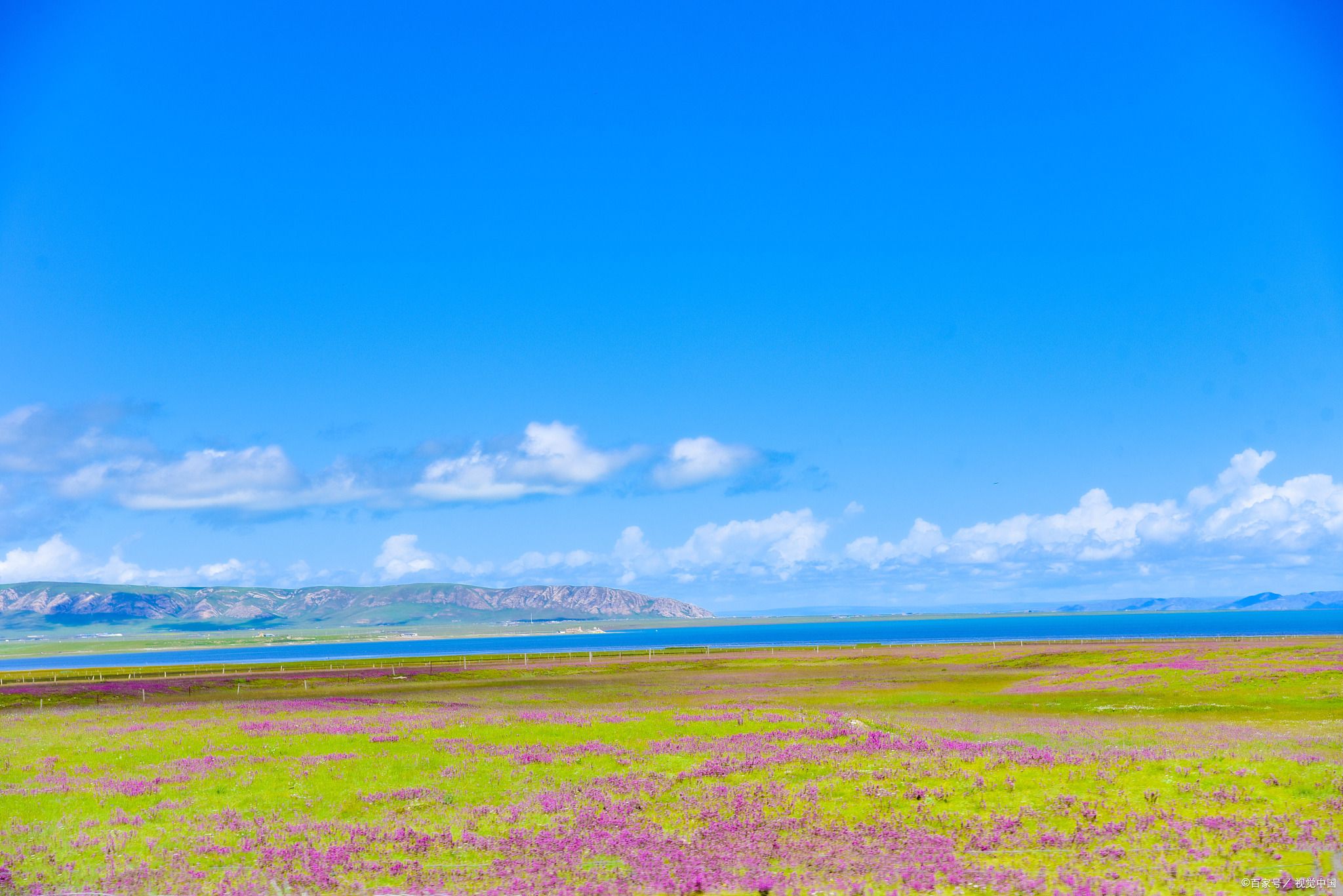 青海可可西里旅游攻略