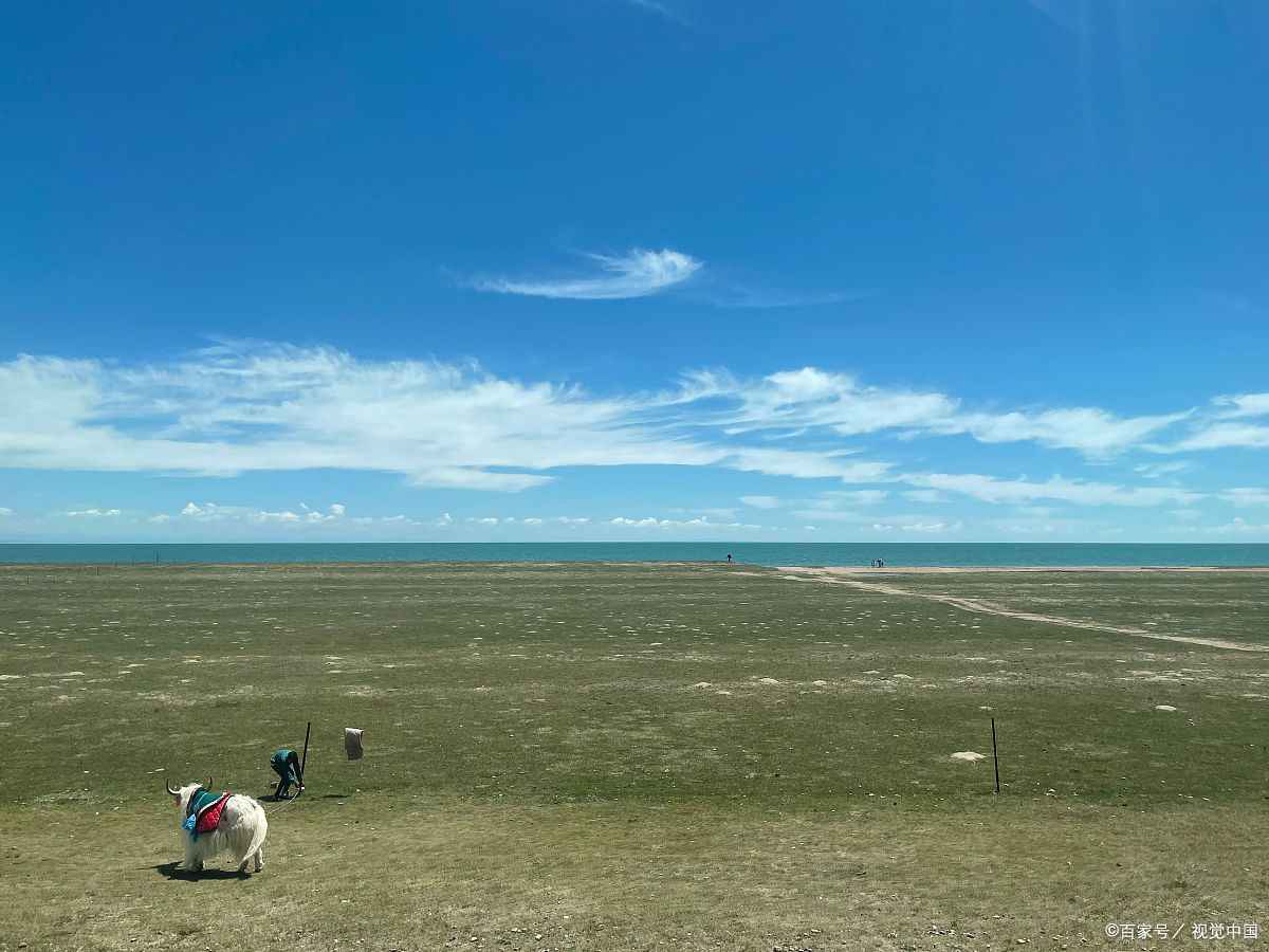 青海可可西里在哪个县